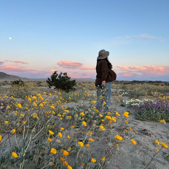 Meet your Posher, Amy - Picture 3 of 4